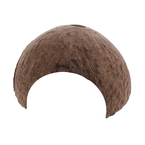XINGLIDA Hamsterhaus Kletterleiter Kokosnüsse Versteck Versteck Nest Lebensraum Dekore Für Rennmäuse Goldener Bär Kleines Haustier Kleines Haustier Haus XINGLIDA Hamsterhaus Kletterleiter Kokosnüsse Versteck Versteck Nest Lebensraum Dekore Für Rennmäuse Goldener Bär Kleines Haustier Kleines Haustier Haus von XINGLIDA