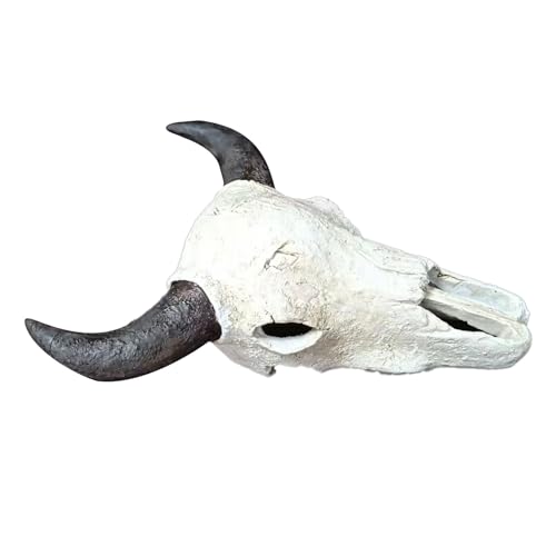 XINGLIDA Künstliche Höhle Versteck für Aquarium, Terrarium, Garnelenversteck XINGLIDA Künstliche Höhle Versteck für Aquarium, Terrarium, Garnelenversteck von XINGLIDA