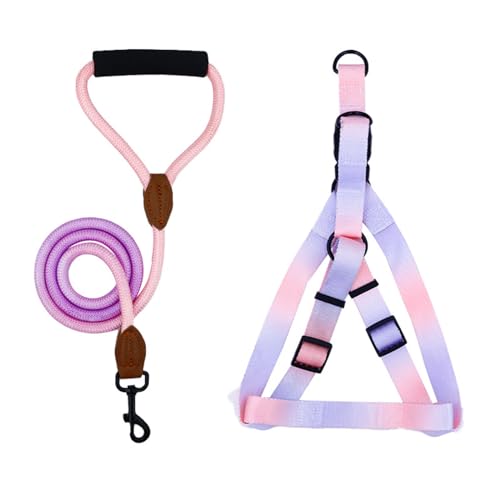 XINGLIDA Nopull-Hundegeschirr mit Leine, Brustgurt für Spaziergänge, Hundewesten, Geschirr, Outdoor-Aktivität, buntes Geschirr XINGLIDA Nopull-Hundegeschirr mit Leine, Brustgurt für Spaziergänge, Hundewesten, Geschirr, Outdoor-Aktivität, buntes Geschirr von XINGLIDA
