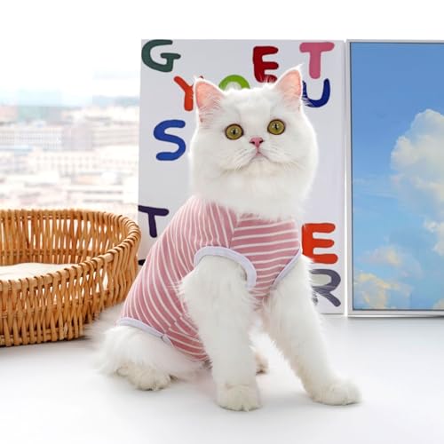 Atmungsaktiver Haustier-Bodysuit - Gestreifter Anti-Schmutz-Overall für Katzen und kleine Hunde Atmungsaktiver Haustier-Bodysuit - Gestreifter Anti-Schmutz-Overall für Katzen und kleine Hunde von XINGNIAO