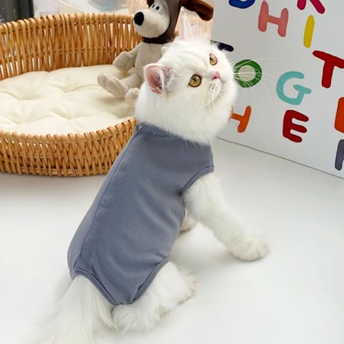 Atmungsaktiver Haustier-Bodysuit - Gestreifter Anti-Schmutz-Overall für Katzen und kleine Hunde Atmungsaktiver Haustier-Bodysuit - Gestreifter Anti-Schmutz-Overall für Katzen und kleine Hunde von XINGNIAO
