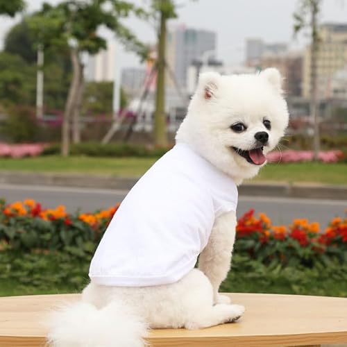 Atmungsaktives Baumwoll-Haustier-Tanktop - Leichte ärmellose Hundeweste für alle Jahreszeiten Atmungsaktives Baumwoll-Haustier-Tanktop - Leichte ärmellose Hundeweste für alle Jahreszeiten von XINGNIAO