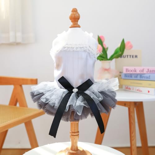 Ballett-Wirbel-Hundekleid - Silbergrauer Spitzen-Neckholder-Tutu-Rock Ballett-Wirbel-Hundekleid - Silbergrauer Spitzen-Neckholder-Tutu-Rock von XINGNIAO