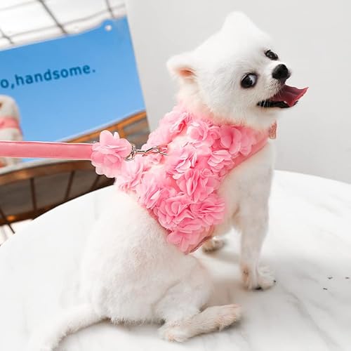 Blumenhaustiergeschirr mit Leine - Stilvolle 3D Blumen Hunde- und Katzenweste zum Spazierengehen Blumenhaustiergeschirr mit Leine - Stilvolle 3D Blumen Hunde- und Katzenweste zum Spazierengehen von XINGNIAO