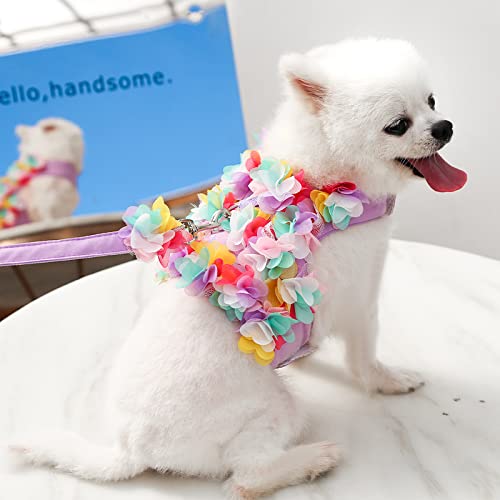 Blumenhaustiergeschirr mit Leine - Stilvolle 3D Blumen Hunde- und Katzenweste zum Spazierengehen Blumenhaustiergeschirr mit Leine - Stilvolle 3D Blumen Hunde- und Katzenweste zum Spazierengehen von XINGNIAO