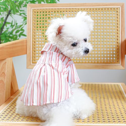 Buntes Blumenhemd für Hunde und Katzen - Sommerblasen Haustierkleidung Buntes Blumenhemd für Hunde und Katzen - Sommerblasen Haustierkleidung von XINGNIAO