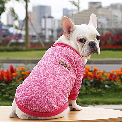 Französische Bulldogge Haustier Hoodie - Weicher gestrickter zweibeiniger Pullover für kleine bis mittelgroße Hunde Französische Bulldogge Haustier Hoodie - Weicher gestrickter zweibeiniger Pullover für kleine bis mittelgroße Hunde von XINGNIAO