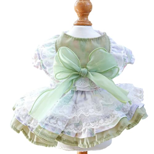 Grüner Hund Kleid Sommer Prinzessin Spitze Welpen Rock mit großer Schleife Haustier Kleid für kleine mittlere Hund Grüner Hund Kleid Sommer Prinzessin Spitze Welpen Rock mit großer Schleife Haustier Kleid für kleine mittlere Hund von XINGNIAO