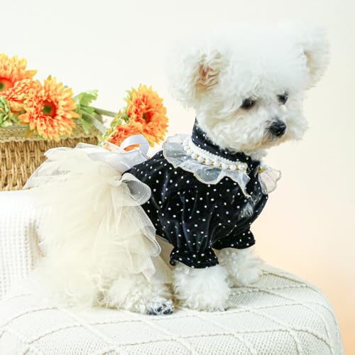 Haustier-Hochzeitskleid mit Spitzen-Tüllrock, Samt-gepunktetem Hunde-Katzen-Ballkleid und Geschirr Haustier-Hochzeitskleid mit Spitzen-Tüllrock, Samt-gepunktetem Hunde-Katzen-Ballkleid und Geschirr von XINGNIAO
