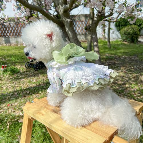 Luxuriöses Hundekleid mit Blumenmuster - Vintage-inspiriertes Spitzen-Haustier-Outfit für kleine Hunde Luxuriöses Hundekleid mit Blumenmuster - Vintage-inspiriertes Spitzen-Haustier-Outfit für kleine Hunde von XINGNIAO