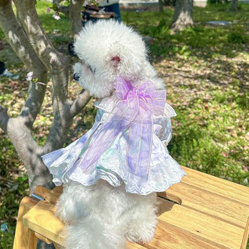 Luxuriöses Hundekleid mit Blumenmuster - Vintage-inspiriertes Spitzen-Haustier-Outfit für kleine Hunde Luxuriöses Hundekleid mit Blumenmuster - Vintage-inspiriertes Spitzen-Haustier-Outfit für kleine Hunde von XINGNIAO