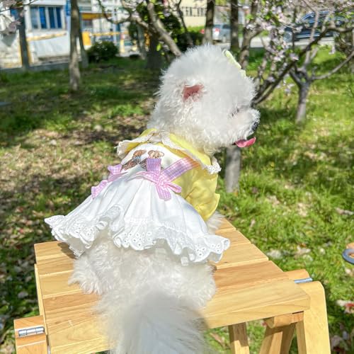 Luxuriöses Hundekleid mit Blumenmuster - Vintage-inspiriertes Spitzen-Haustier-Outfit für kleine Hunde Luxuriöses Hundekleid mit Blumenmuster - Vintage-inspiriertes Spitzen-Haustier-Outfit für kleine Hunde von XINGNIAO