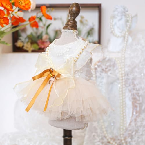 Luxuriöses goldbesetztes Frühlings- und Sommerkleid für Katzen und kleine Hunde Luxuriöses goldbesetztes Frühlings- und Sommerkleid für Katzen und kleine Hunde von XINGNIAO