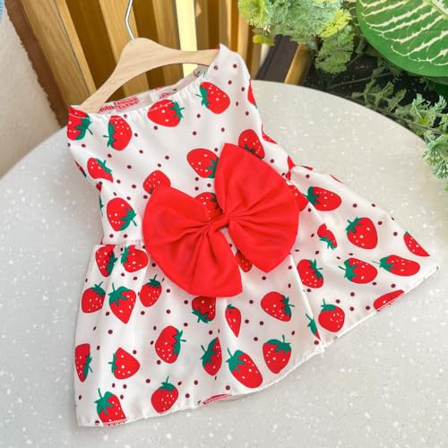Niedlicher gestreifter Harness-Netz-Tutu-Rock für kleine bis mittelgroße Hunde und Katzen - Frühlings- und Sommer-Haustierkleid Niedlicher gestreifter Harness-Netz-Tutu-Rock für kleine bis mittelgroße Hunde und Katzen - Frühlings- und Sommer-Haustierkleid von XINGNIAO