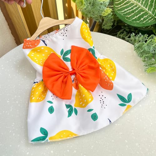 Niedlicher gestreifter Harness-Netz-Tutu-Rock für kleine bis mittelgroße Hunde und Katzen - Frühlings- und Sommer-Haustierkleid Niedlicher gestreifter Harness-Netz-Tutu-Rock für kleine bis mittelgroße Hunde und Katzen - Frühlings- und Sommer-Haustierkleid von XINGNIAO