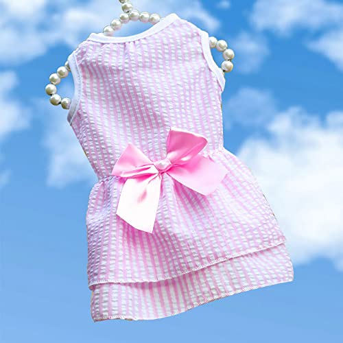 Niedlicher gestreifter Harness-Netz-Tutu-Rock für kleine bis mittelgroße Hunde und Katzen - Frühlings- und Sommer-Haustierkleid von XINGNIAO