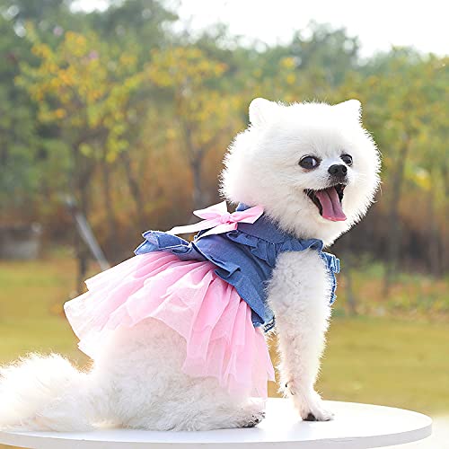 Schickes Denim & Chiffon Hundekleid für alle Jahreszeiten (XS-XXL) von XINGNIAO