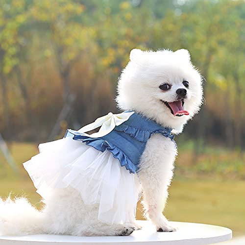 Schickes Denim & Chiffon Hundekleid für alle Jahreszeiten (XS-XXL) von XINGNIAO
