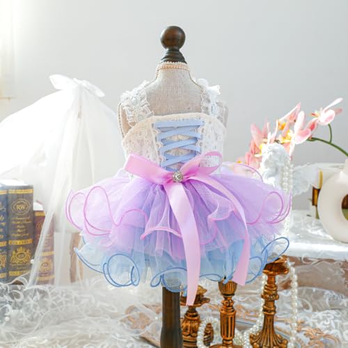 Tüllkleid mit Spitzenband für Hunde - Rosa lila Blauer Farbverlauf Ätherischer Sternenhimmel geschwollenes Prinzessinnenkleid Tüllkleid mit Spitzenband für Hunde - Rosa lila Blauer Farbverlauf Ätherischer Sternenhimmel geschwollenes Prinzessinnenkleid von XINGNIAO