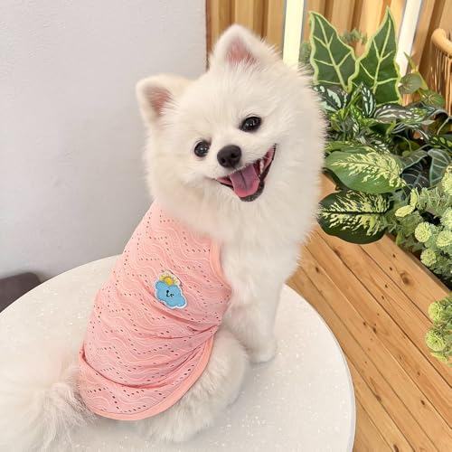 Ultradünnes Haustierkleid mit Wellenausschnitt für kleine Hunde und Katzen Ultradünnes Haustierkleid mit Wellenausschnitt für kleine Hunde und Katzen von XINGNIAO