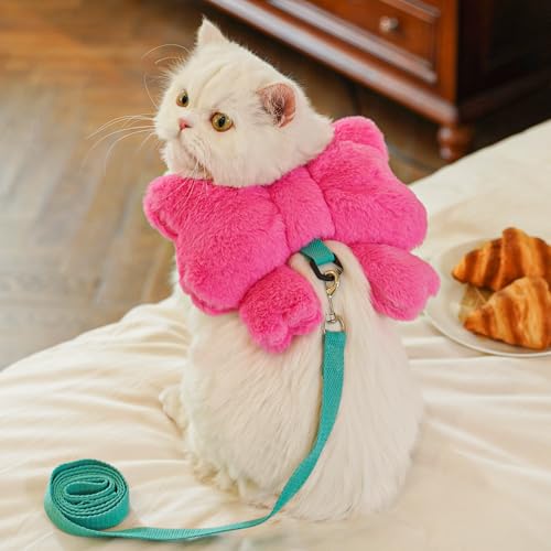 Weiches Plüsch Bowknot Haustiergeschirr mit Leine - Ausbruchsicheres Gehset für Katzen und kleine Hunde Weiches Plüsch Bowknot Haustiergeschirr mit Leine - Ausbruchsicheres Gehset für Katzen und kleine Hunde von XINGNIAO