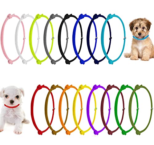 Welpenhalsband, verstellbar, 16 Stück Welpenhalsband, verstellbar, 16 Stück von XINTONG