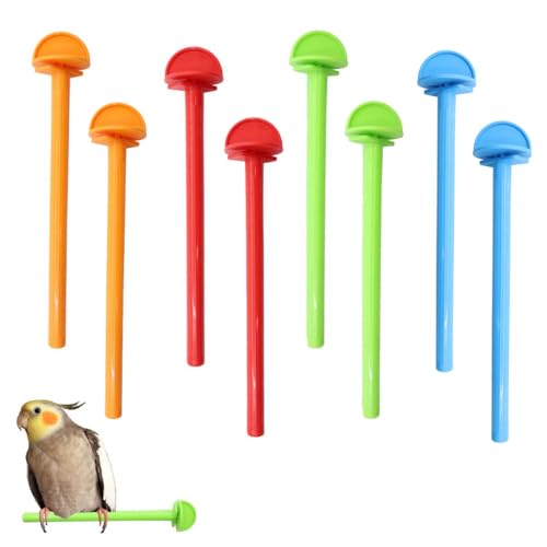 8 Stück Papageien-Sitzstangen, Kunststoff-Vogelkäfig-Sitzstange, Universal-Vogelsitzstangen, Kunststoff-Halter für Finken, Kanarienvögel, Wellensittiche, Sittiche, Nymphensittiche, Eckpfotenablage 8 Stück Papageien-Sitzstangen, Kunststoff-Vogelkäfig-Sitzstange, Universal-Vogelsitzstangen, Kunststoff-Halter für Finken, Kanarienvögel, Wellensittiche, Sittiche, Nymphensittiche, Eckpfotenablage von XINXINGDINGSHENG
