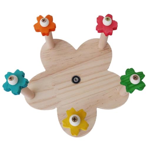 Pet Wellensittiche Futterstation Spielzeug für mehrere Vögel, rotierendes Training, buntes Rad für kleine Vögel, als Käfigdekoration, Vogelkletterspielzeug Pet Wellensittiche Futterstation Spielzeug für mehrere Vögel, rotierendes Training, buntes Rad für kleine Vögel, als Käfigdekoration, Vogelkletterspielzeug von XINYIN