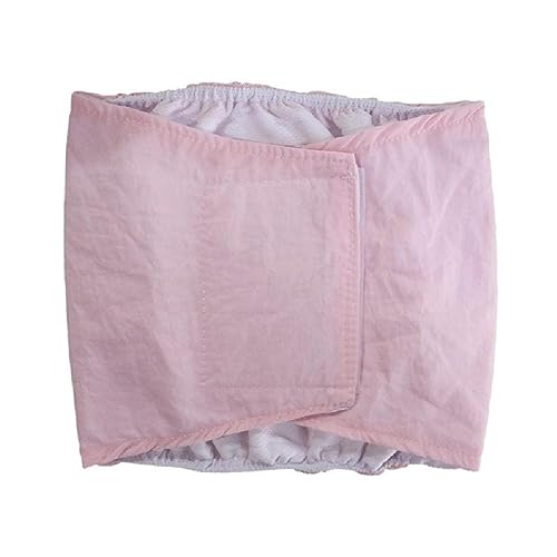 Wiederverwendbare Haustier Hund Windeln Für Mädchen Durable Hosen Menstruation Hygiene Haustier Windeln XS-XL Physiologische Hosen Hygiene Höschen Sanitär von XINYIN