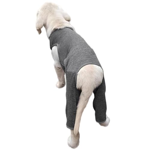 XINYIN Hunde-Leggings für Hinterbeinbandage für Wärme und Unterstützung für verletztes Altern gegen Lecken, mehrere Größen, weniger Beschwerden von XINYIN