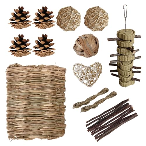 XINYIN Kleintier-Unterhaltungs-Spielzeug-Set, natürliches Holz, Kauspielzeug-Sortiment für Hamster und kleine Haustiere von XINYIN