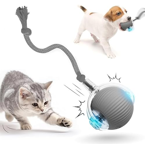 Interaktives Katzenball Spielzeug, Elektrisch Interaktiver Spielball mit intelligenter Hindernisvermeidung, USB-Aufladung, lange Akkulaufzeit - Stimuliert den Jagdinstinkt von Hauskatzen (Grau) von XINYUNXIN