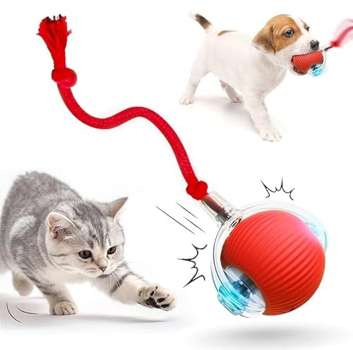 Interaktives Katzenball Spielzeug, Elektrisch Interaktiver Spielball mit intelligenter Hindernisvermeidung, USB-Aufladung, lange Akkulaufzeit - Stimuliert den Jagdinstinkt von Hauskatzen (Rot) von XINYUNXIN
