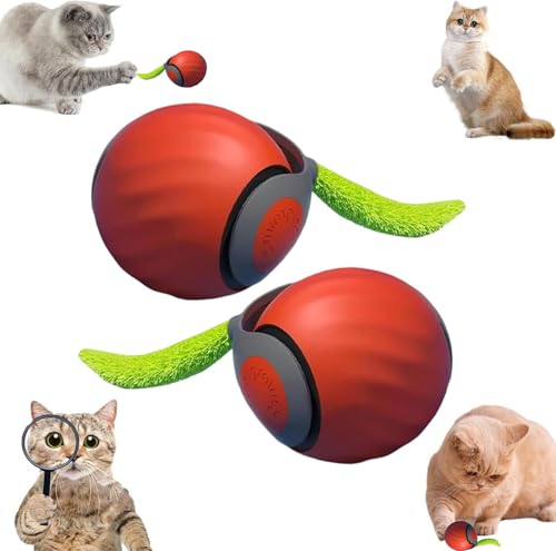 Speedy Tail 2.0, Speedy Tail Katzenspielzeug, interaktiver spielball für Katzen, Automatisches Katzenspielzeug, USB Aufladbarer Mit Ersatzschwanz für Hund/Katzen Two Speed Adjustment # 2PCS Orange Speedy Tail 2.0, Speedy Tail Katzenspielzeug, interaktiver spielball für Katzen, Automatisches Katzenspielzeug, USB Aufladbarer Mit Ersatzschwanz für Hund/Katzen Two Speed Adjustment # 2PCS Orange von XINYUNXIN