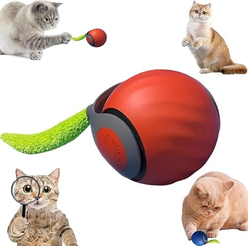 Speedy Tail 2.0, Speedy Tail Katzenspielzeug, interaktiver spielball für Katzen, Automatisches Katzenspielzeug, USB Aufladbarer Mit Ersatzschwanz für Hund/Katzen Two Speed Adjustment #Orange Speedy Tail 2.0, Speedy Tail Katzenspielzeug, interaktiver spielball für Katzen, Automatisches Katzenspielzeug, USB Aufladbarer Mit Ersatzschwanz für Hund/Katzen Two Speed Adjustment #Orange von XINYUNXIN