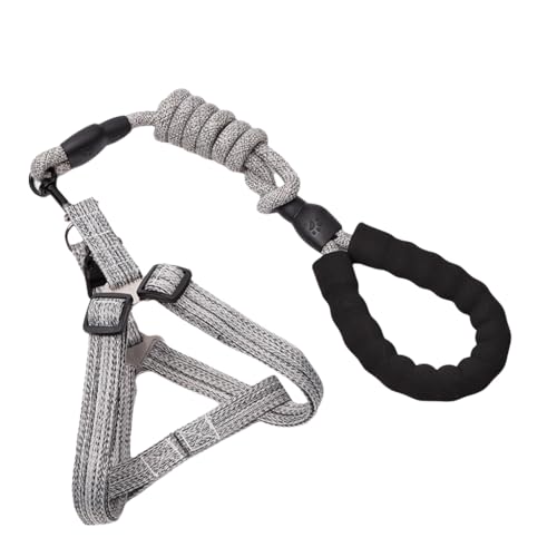 Hundeleine für Training, Spazierengehen, Gürtel für große und kleine Hunde, mit Schnalle, mehrfarbig Hundeleine für Training, Spazierengehen, Gürtel für große und kleine Hunde, mit Schnalle, mehrfarbig von XITEA