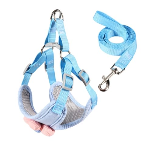 Hundeweste, schöne Blumenleine für Training, Spazierengehen, Gürtel für große und kleine Hunde, Seil, mehrfarbig Hundeweste, schöne Blumenleine für Training, Spazierengehen, Gürtel für große und kleine Hunde, Seil, mehrfarbig von XITEA