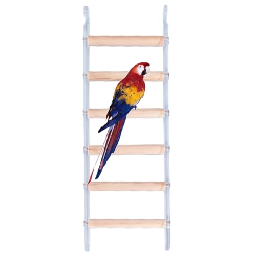 Multifunktionaler Papageienständer Ast Leiter Kratzbaum Spielzeug für Conure Lovebirds Spielzeug Hängematten Stehspielzeug Multifunktionaler Papageienständer Ast Leiter Kratzbaum Spielzeug für Conure Lovebirds Spielzeug Hängematten Stehspielzeug von XITEA