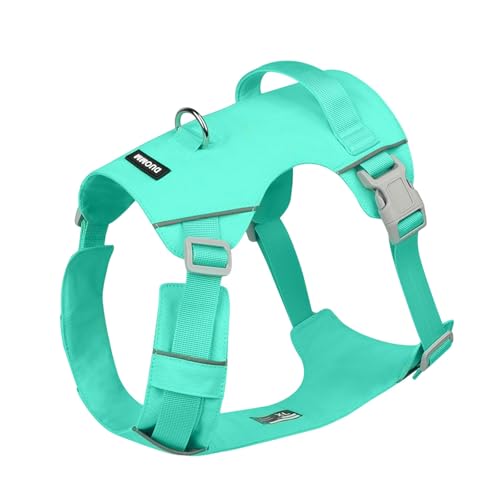 Reflektierendes Hundegeschirr, Brustgurt, große Hundeweste, Geschirr für Outdoor-Aktivitäten, Spazierengehen, Training mit verstellbarem Gürtel (Grün, S) von XITEA