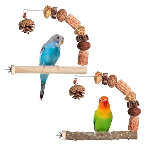 Vogelsitzstangen Holzständer für Papageien mit schleifendem, gewölbtem Tannenzapfen für sicheres Kauen und bequemes Ausruhen von Sitzstangen von XITEA