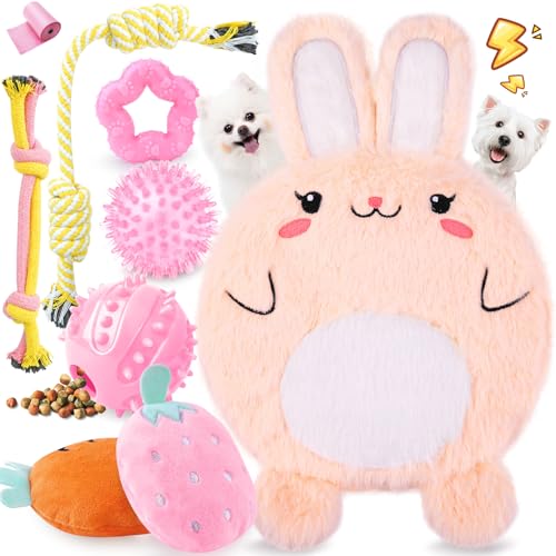 XIUGOAL Pink Puppy Chew Toys - 9 Pack for Teething, Interactive Dog Toys for Puppies, Small Dogs With Squeaky Toys, Treat Ball and Ropes von XIUGOAL