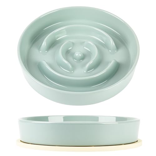 Keramik-Hundenapf mit Silikonmatte, 652 ml, 21,6 cm, für mittelgroße und große Hunde (Hellgrün) von XIYUDLV