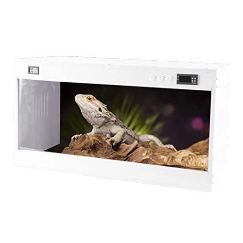 Pet Reptile Box PVC-Insektenfütterung Acryl-Terrarium Für Spinnen-Eidechsen-Frosch-Skorpion, Tragbares Kriechendes Haustier-Reptil-Lebensraum (Size : 100x40x40cm) von XJDZ