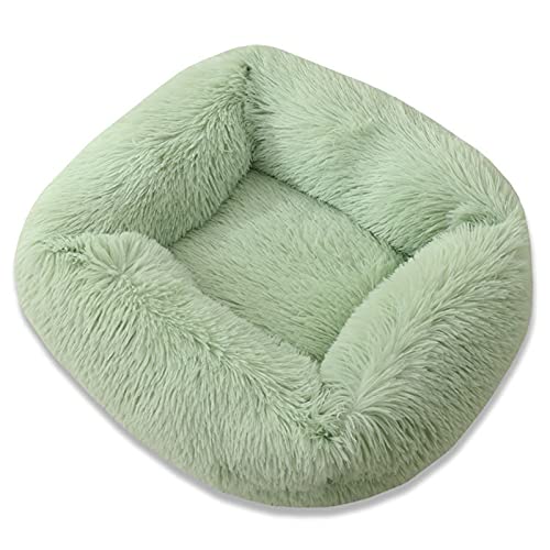 XJHKG Weiches Donut Hunde Katzenbett, Wärmendes Plüsch Haustierkissenbett mit Rutschfester Unterseite(LightGreen,XL) von XJHKG