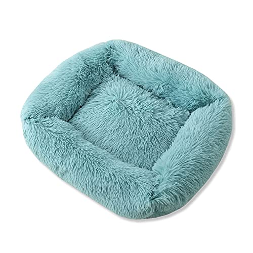 XJHKG Weiches Donut Hunde Katzenbett, Wärmendes Plüsch Haustierkissenbett mit Rutschfester Unterseite(Turquoise,XL) von XJHKG