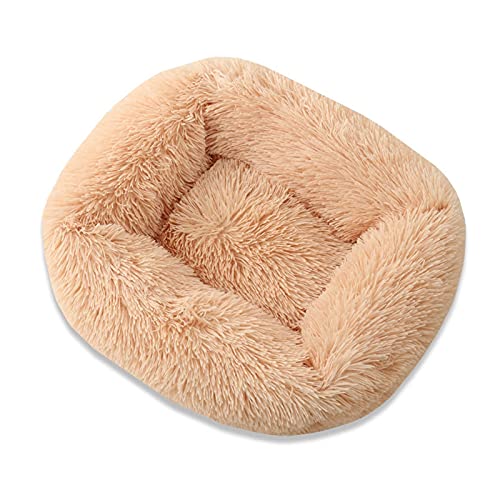 XJHKG Weiches Donut Hunde Katzenbett, Wärmendes Plüsch Haustierkissenbett mit Rutschfester Unterseite(Wheat,XL) von XJHKG
