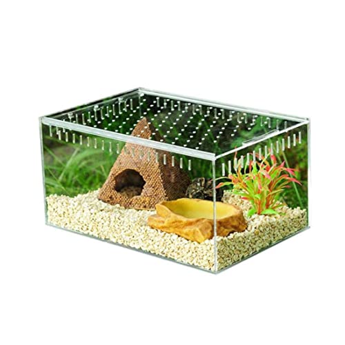 Acryltransparente Fütterungsbox Insekten -Transport -Zuchtkäfigbehälter, transparente Reptilienzüchtung, Zuchtbox, von XJKLBYQ