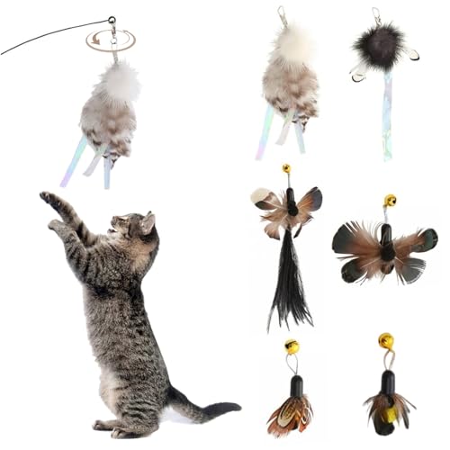 Katzenwurmspielzeug, 6pcs Nachfüllungen Plüschkatze Spielzeug Zauberstab Ersatz durch Glocken, zufällige Farbkatze Zauberstab, interaktive Katzenspielzeug -Nachfüllung für Innen- und Außenkatzen Katzenwurmspielzeug, 6pcs Nachfüllungen Plüschkatze Spielzeug Zauberstab Ersatz durch Glocken, zufällige Farbkatze Zauberstab, interaktive Katzenspielzeug -Nachfüllung für Innen- und Außenkatzen von XJKLBYQ