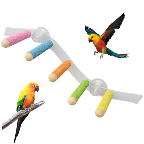 Papagei -Barschstand, Vogelperch, versammelter Vogelständer mit Saugnapfbecher, einfache Installation Pet Toys für Papagei, Sittich, Cockatiel von XJKLBYQ