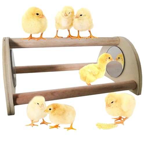Pine Chicken Barch mit Spiegel, Kükenbarsch, Holzküken -Schlafstange für Brutter mit Spiegel, ideal für großen Vogel, Papagei, Ara, Hühner von XJKLBYQ